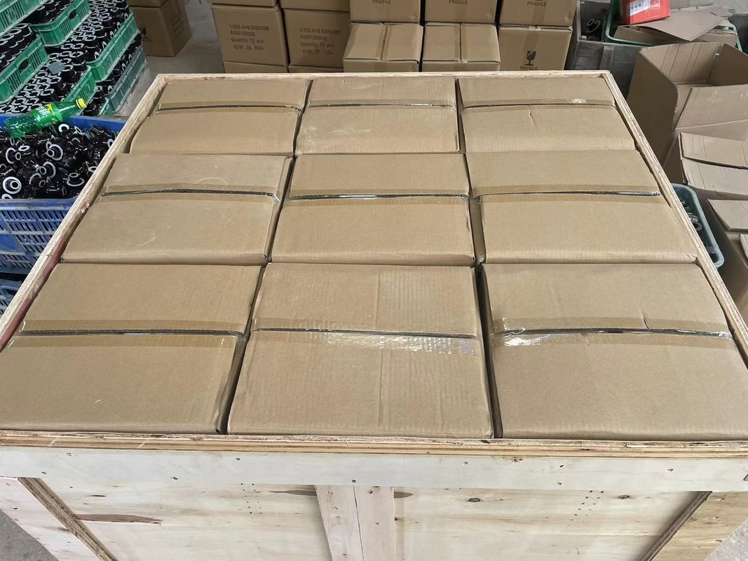 OEM padrão da bucha CD70MM da porcelana do transformador do RUÍDO 1kV 250A